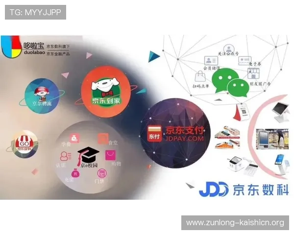 尊龙凯时娱乐支付方式多样化满足不同用户需求的便捷支付解决方案