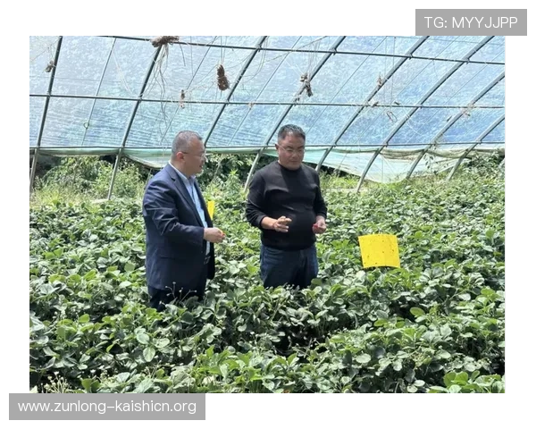 凯时滚球安全保障措施与用户资金安全保障方案 凯时滚球安全保障措施与用户资金安全保障方案